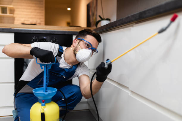 Best Termite Control Services  in Loyalhanna, PA