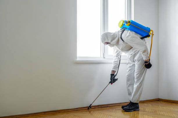 Best Best Pest Control Companies  in Loyalhanna, PA