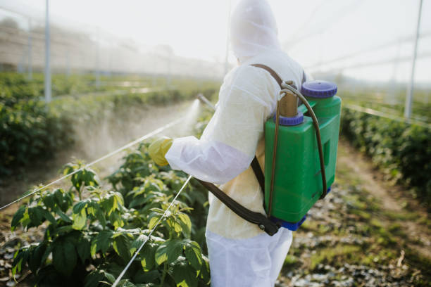  Loyalhanna, PA Pest Control Pros